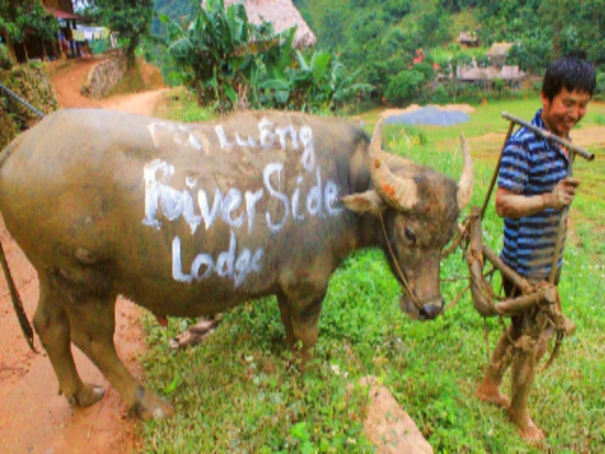 Pu Luong Riverside Lodge Thanh Hóa Kültér fotó